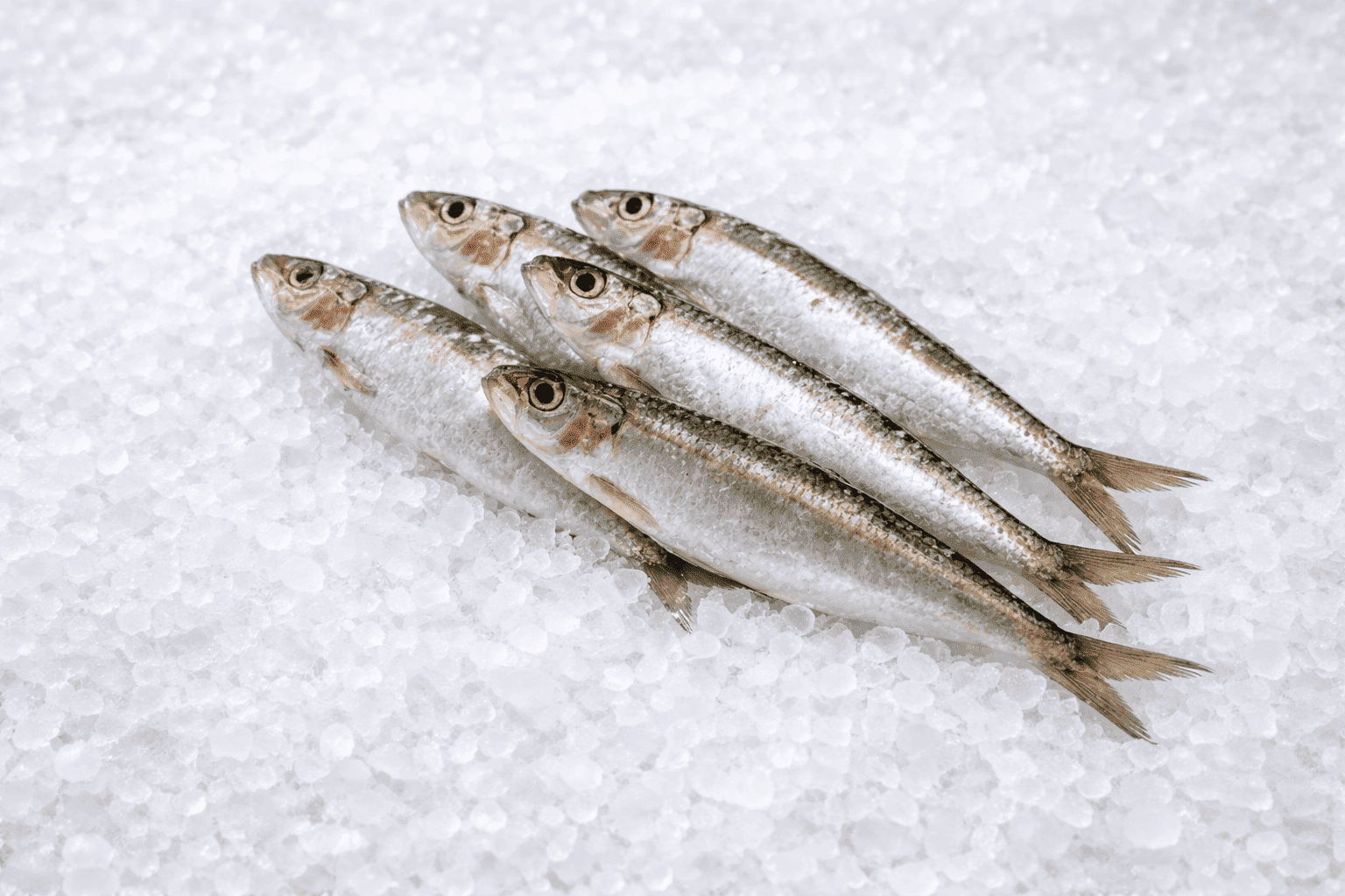 Σαρδέλες (φρέσκο Ελληνικό)