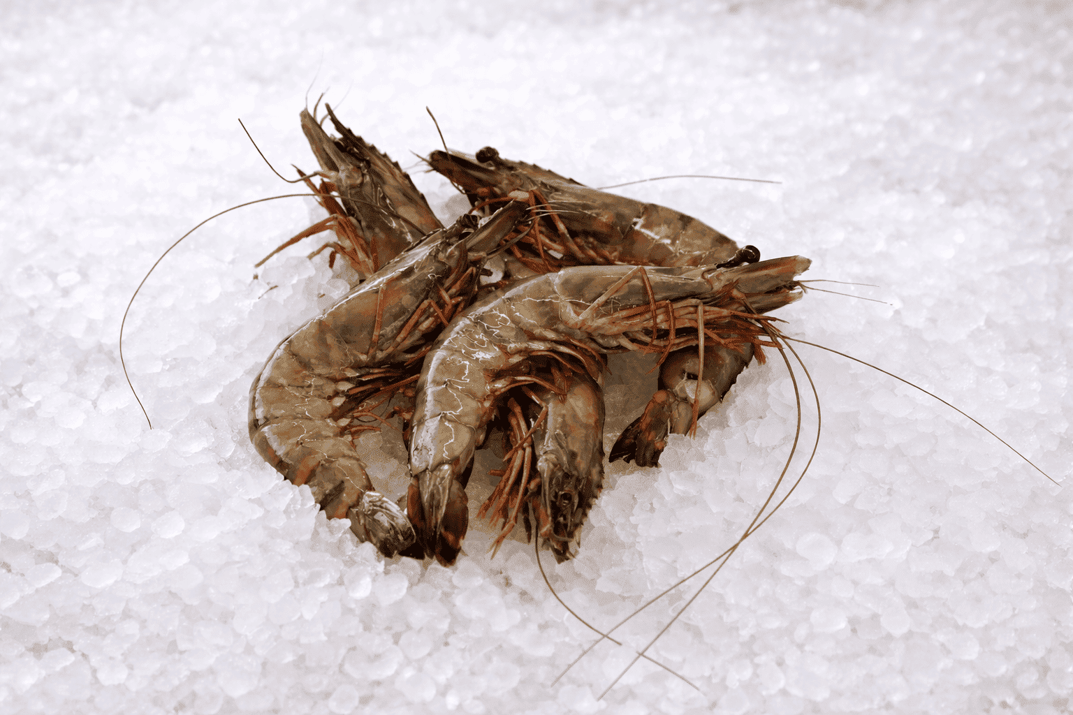 Γαρίδες Γίγαντες * (εισαγόμενο)