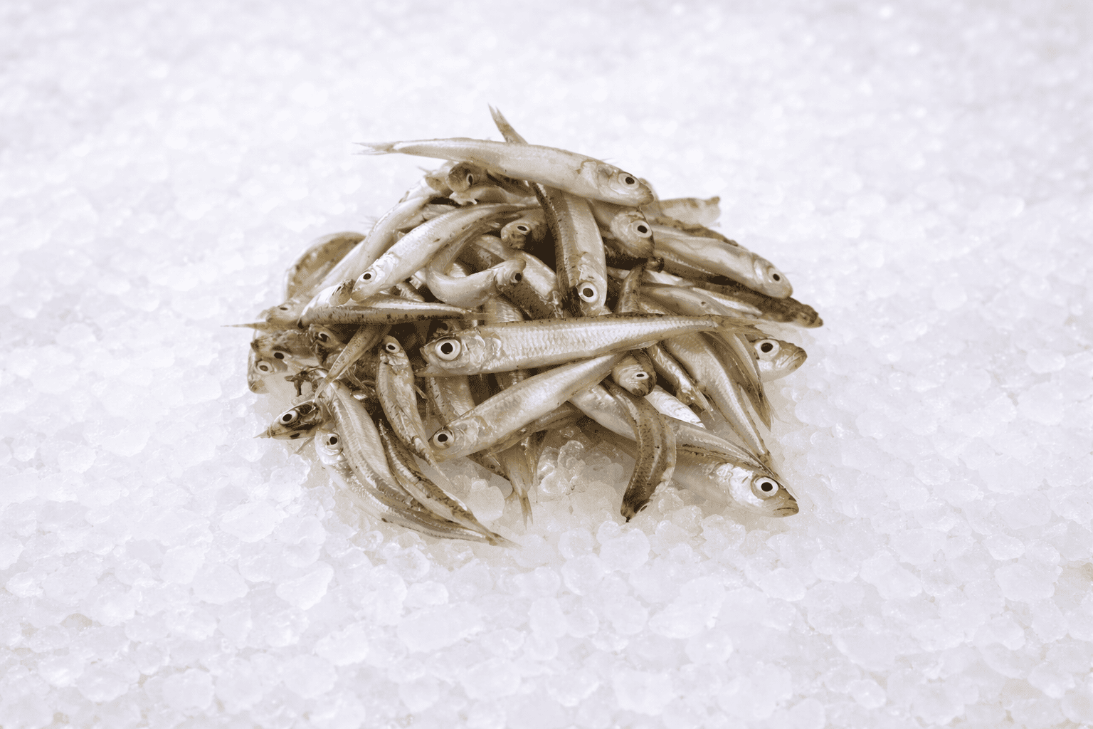 Αθερίνα (ντόπιο)